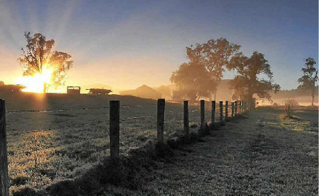 A frosty sunrise snapped by Stephen Reid at Bronsans Farm at Killarney. To see the full landscape version of this stunning photo visit our Wonderful Warwick Facebook page. A frosty sunrise snapped by Stephen Reid at Bronsans Farm at Killarney. To see the full landscape version of this stunning photo visit our Wonderful Warwick Facebook page.